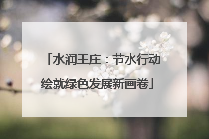 水润王庄：节水行动绘就绿色发展新画卷