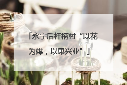 永宁后杆柄村“以花为媒，以果兴业”