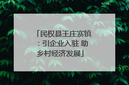 民权县王庄寨镇：引企业入驻 助乡村经济发展