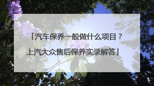 汽车保养一般做什么项目？上汽大众售后保养实录解答