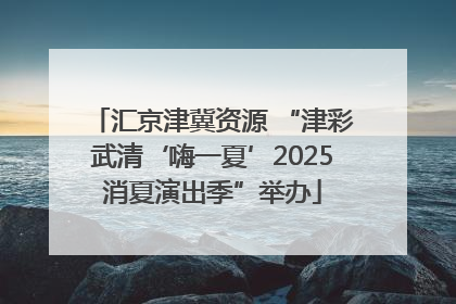 汇京津冀资源 “津彩武清‘嗨一夏’2025消夏演出季”举办