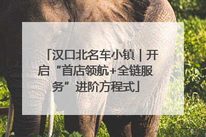 汉口北名车小镇｜开启“首店领航+全链服务”进阶方程式