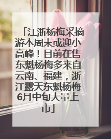 江浙杨梅采摘游本周末或迎小高峰！目前在售东魁杨梅多来自云南、福建，浙江露天东魁杨梅6月中旬大量上市