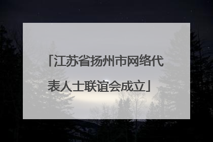 江苏省扬州市网络代表人士联谊会成立
