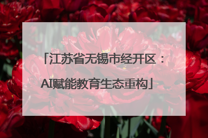 江苏省无锡市经开区：AI赋能教育生态重构