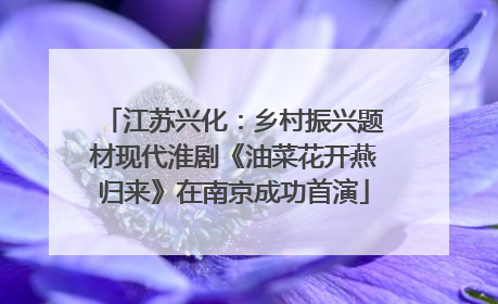 江苏兴化：乡村振兴题材现代淮剧《油菜花开燕归来》在南京成功首演