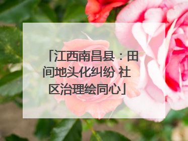 江西南昌县：田间地头化纠纷 社区治理绘同心