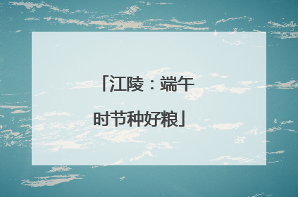 江陵：端午时节种好粮