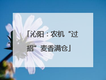沁阳：农机“过招”麦香满仓