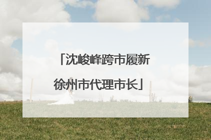 沈峻峰跨市履新徐州市代理市长