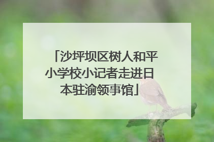沙坪坝区树人和平小学校小记者走进日本驻渝领事馆