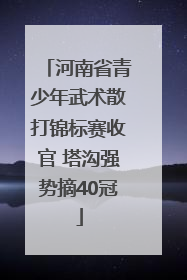 河南省青少年武术散打锦标赛收官 塔沟强势摘40冠