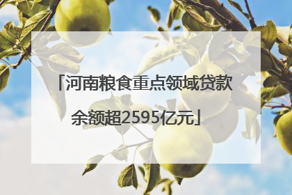 河南粮食重点领域贷款余额超2595亿元
