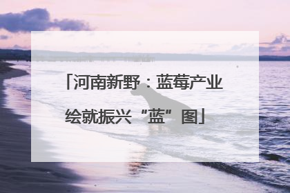 河南新野：蓝莓产业绘就振兴“蓝”图