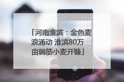 河南淮滨：金色麦浪涌动 淮滨80万亩弱筋小麦开镰