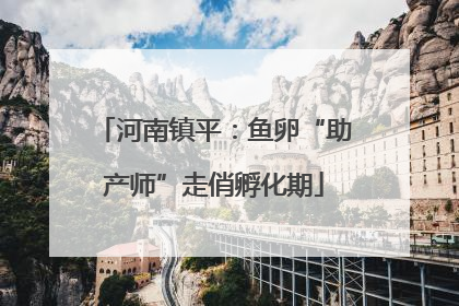 河南镇平：鱼卵“助产师”走俏孵化期