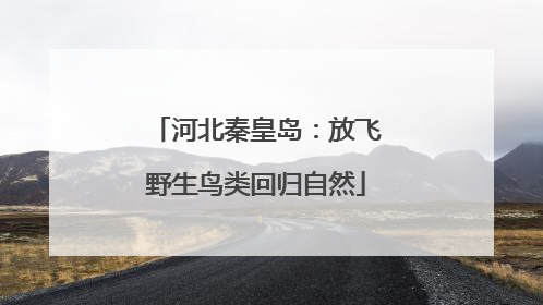 河北秦皇岛：放飞野生鸟类回归自然