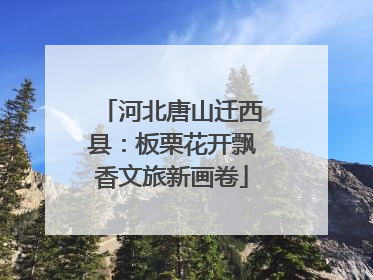河北唐山迁西县：板栗花开飘香文旅新画卷