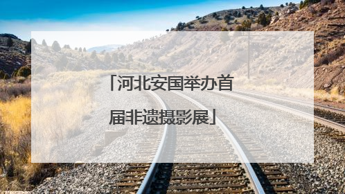 河北安国举办首届非遗摄影展