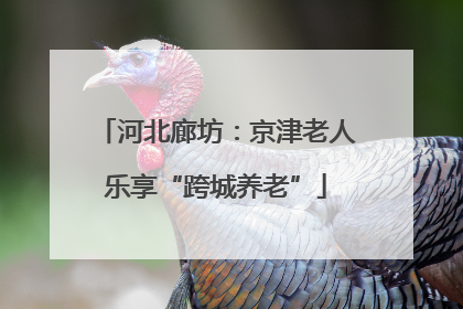 河北廊坊：京津老人乐享“跨城养老”