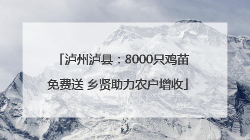 泸州泸县：8000只鸡苗免费送 乡贤助力农户增收
