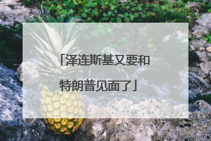 泽连斯基又要和特朗普见面了