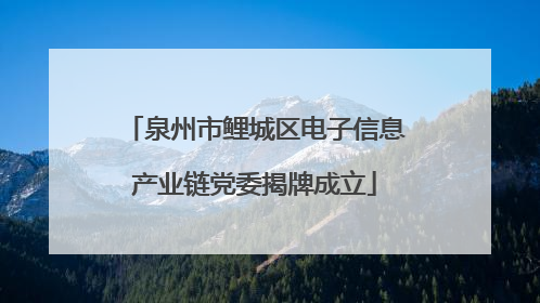 泉州市鲤城区电子信息产业链党委揭牌成立
