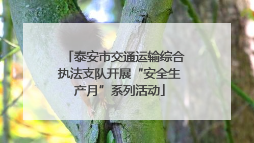 泰安市交通运输综合执法支队开展“安全生产月”系列活动