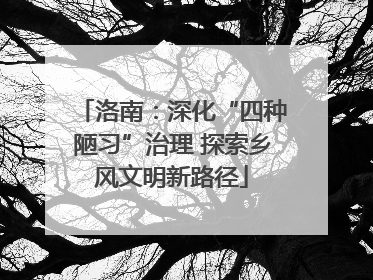洛南：深化“四种陋习”治理 探索乡风文明新路径
