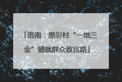 洛南：黑彰村“一地三金”铺就群众致富路