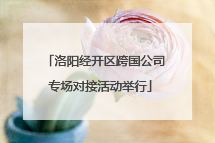 洛阳经开区跨国公司专场对接活动举行