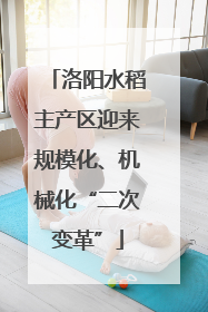 洛阳水稻主产区迎来规模化、机械化“二次变革”