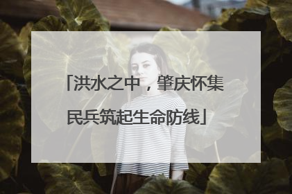 洪水之中，肇庆怀集民兵筑起生命防线