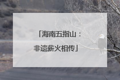 海南五指山：非遗薪火相传