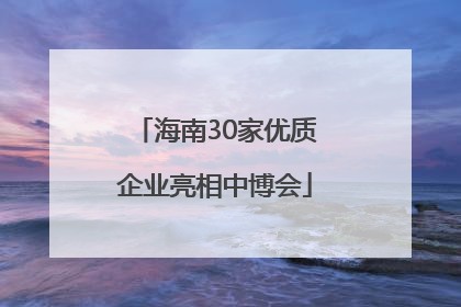 海南30家优质企业亮相中博会