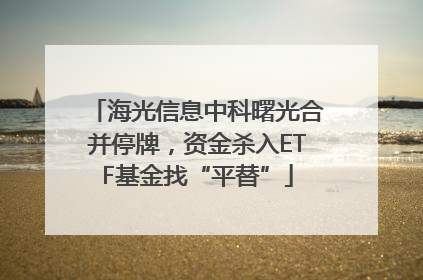 海光信息中科曙光合并停牌，资金杀入ETF基金找“平替”