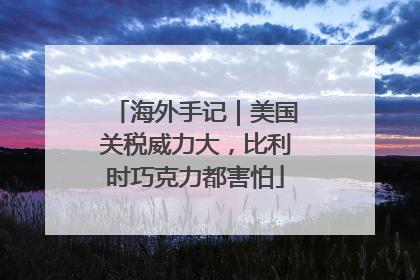 海外手记｜美国关税威力大，比利时巧克力都害怕