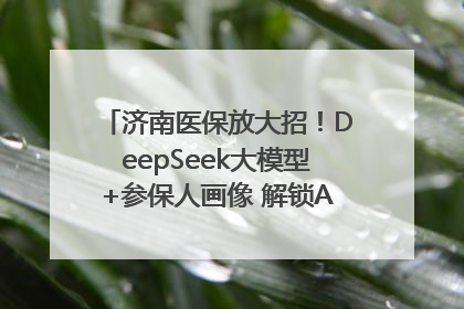 济南医保放大招！DeepSeek大模型+参保人画像 解锁AI医保管家新体验