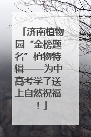 济南植物园“金榜题名”植物特辑——为中高考学子送上自然祝福！