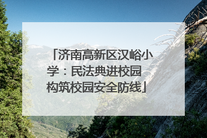 济南高新区汉峪小学：民法典进校园 构筑校园安全防线