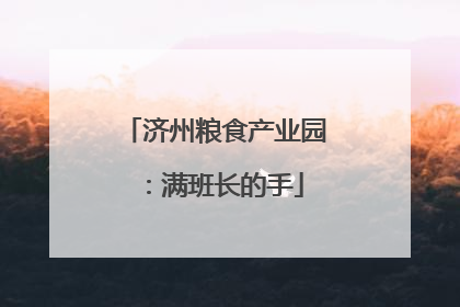 济州粮食产业园：满班长的手