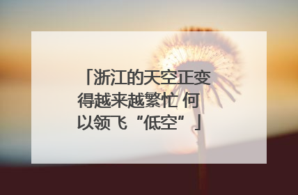 浙江的天空正变得越来越繁忙 何以领飞“低空”