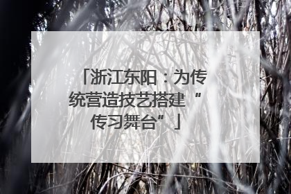 浙江东阳：为传统营造技艺搭建“传习舞台”