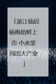浙江仙居杨梅抢鲜上市 小水果闯出大产业