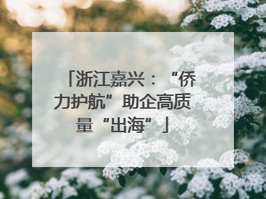 浙江嘉兴：“侨力护航”助企高质量“出海”