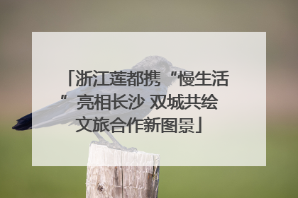浙江莲都携“慢生活”亮相长沙 双城共绘文旅合作新图景