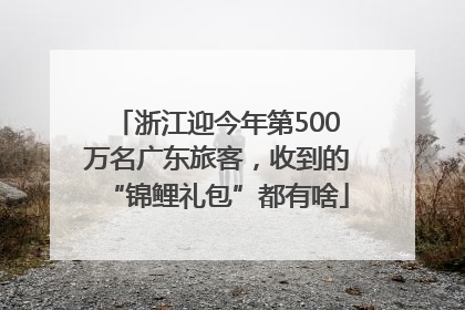 浙江迎今年第500万名广东旅客，收到的“锦鲤礼包”都有啥