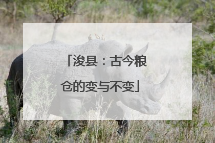 浚县：古今粮仓的变与不变