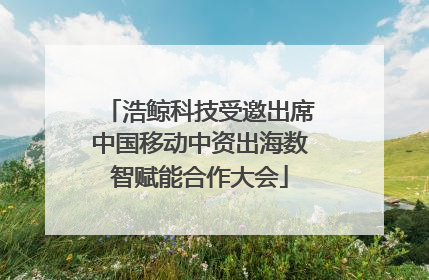 浩鲸科技受邀出席中国移动中资出海数智赋能合作大会