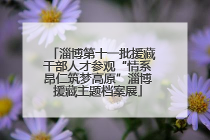 淄博第十一批援藏干部人才参观“情系昂仁筑梦高原”淄博援藏主题档案展